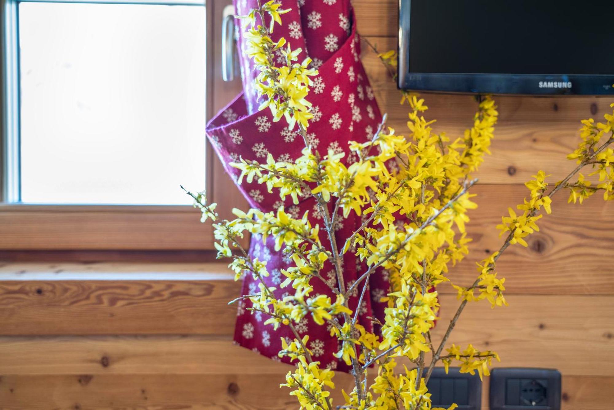Chalet Camping Fae 1 Madonna di Campiglio Bagian luar foto